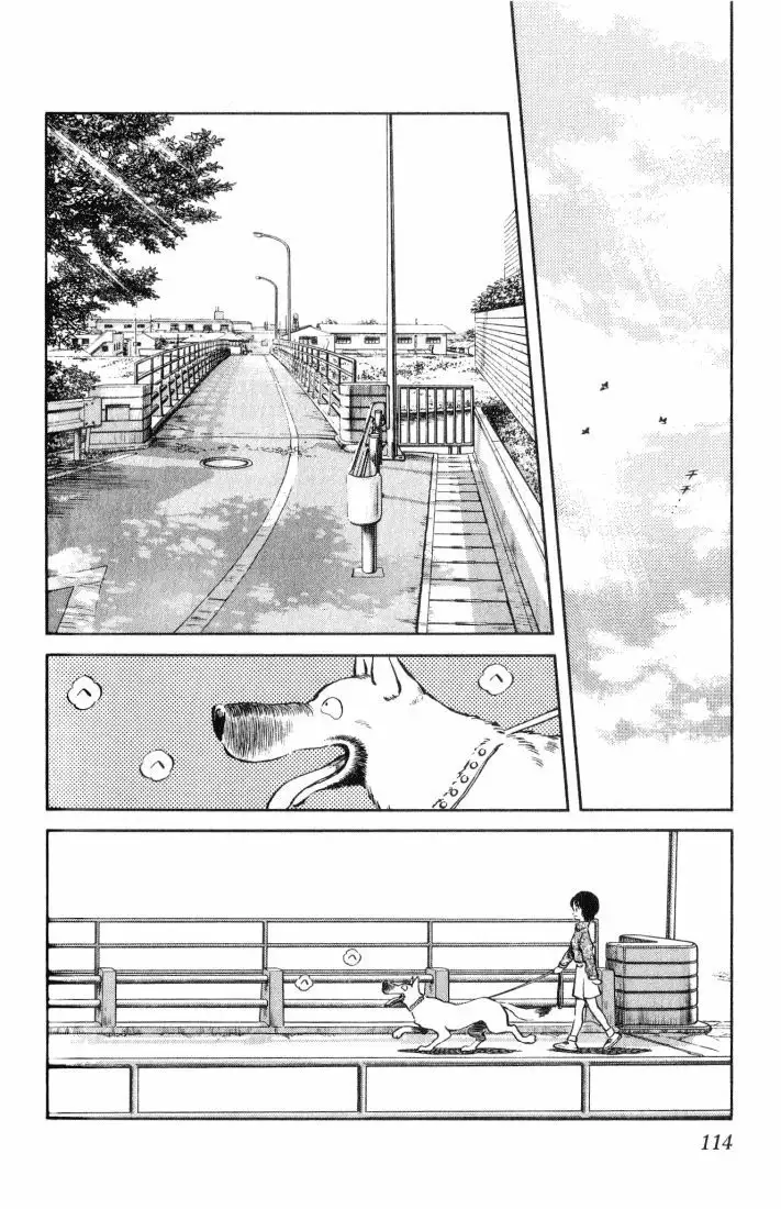 H2 Capítulo 16 - Page 2