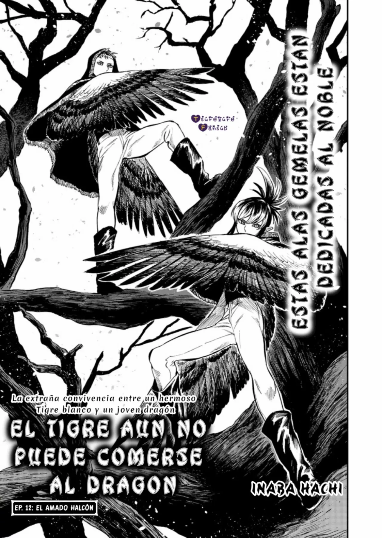 El Tigre Aún No Puede Comerse Al Dragón Capítulo 12 - Page 3