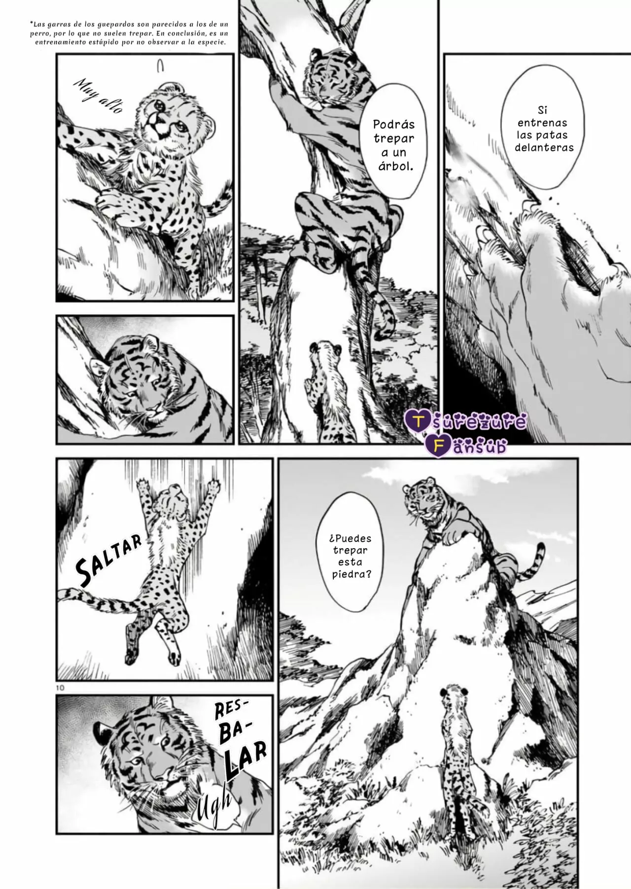 El Tigre Aún No Puede Comerse Al Dragón Capítulo 19 - Page 12