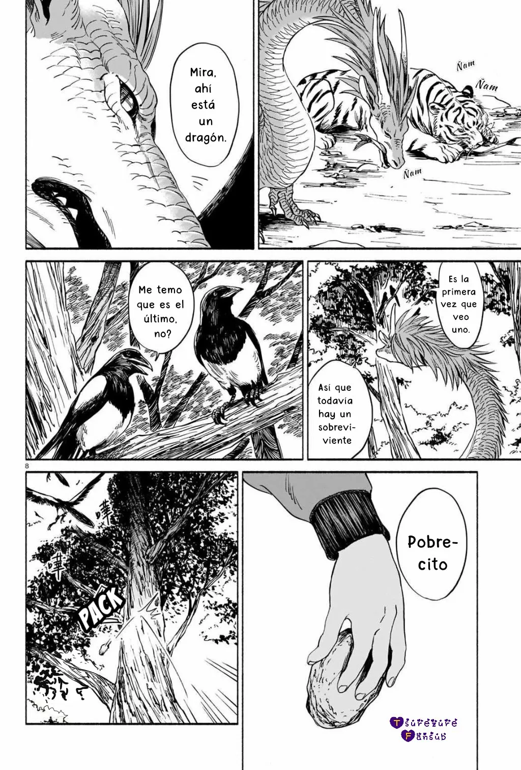 El Tigre Aún No Puede Comerse Al Dragón Capítulo 2 - Page 9