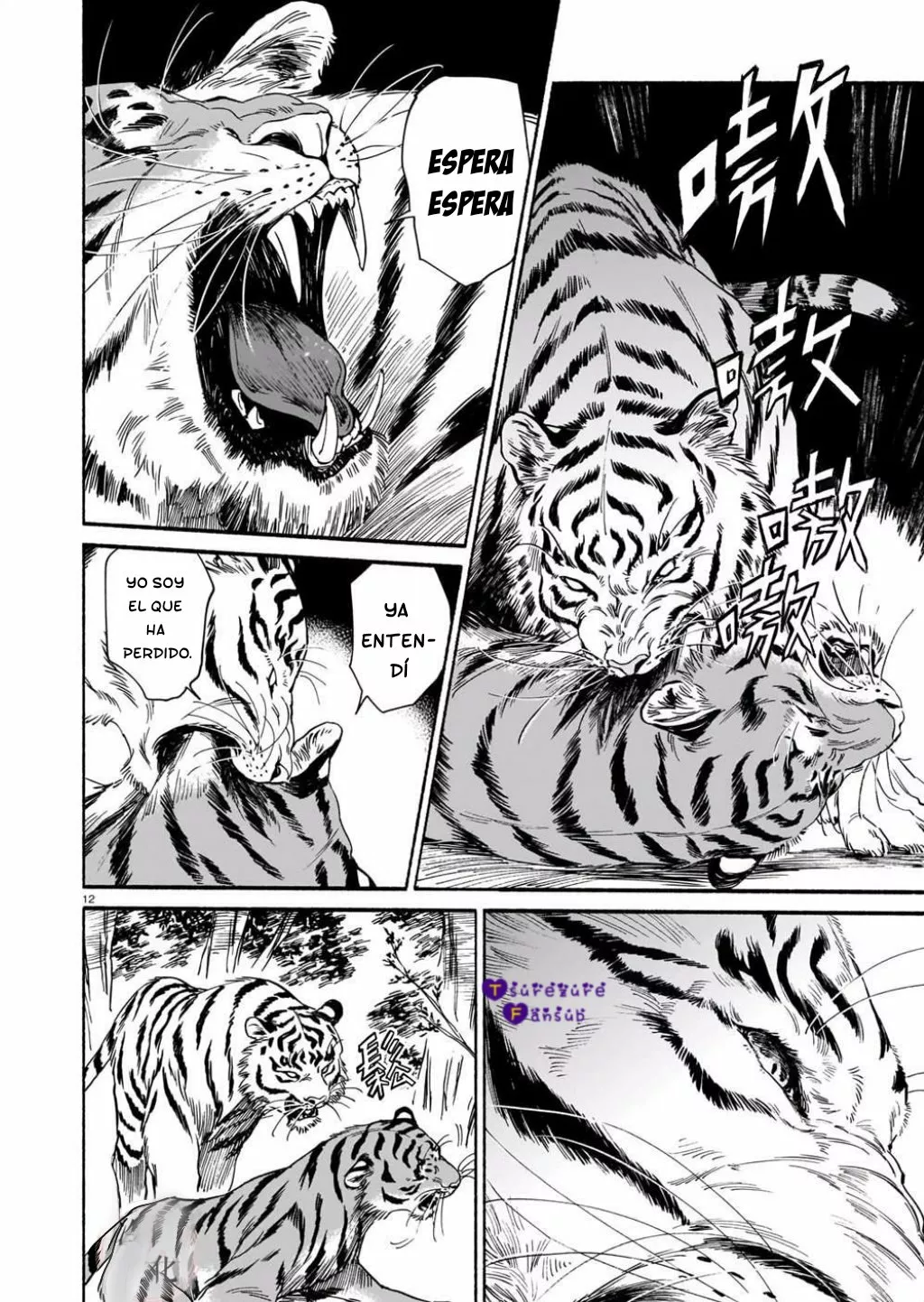 El Tigre Aún No Puede Comerse Al Dragón Capítulo 3 - Page 13
