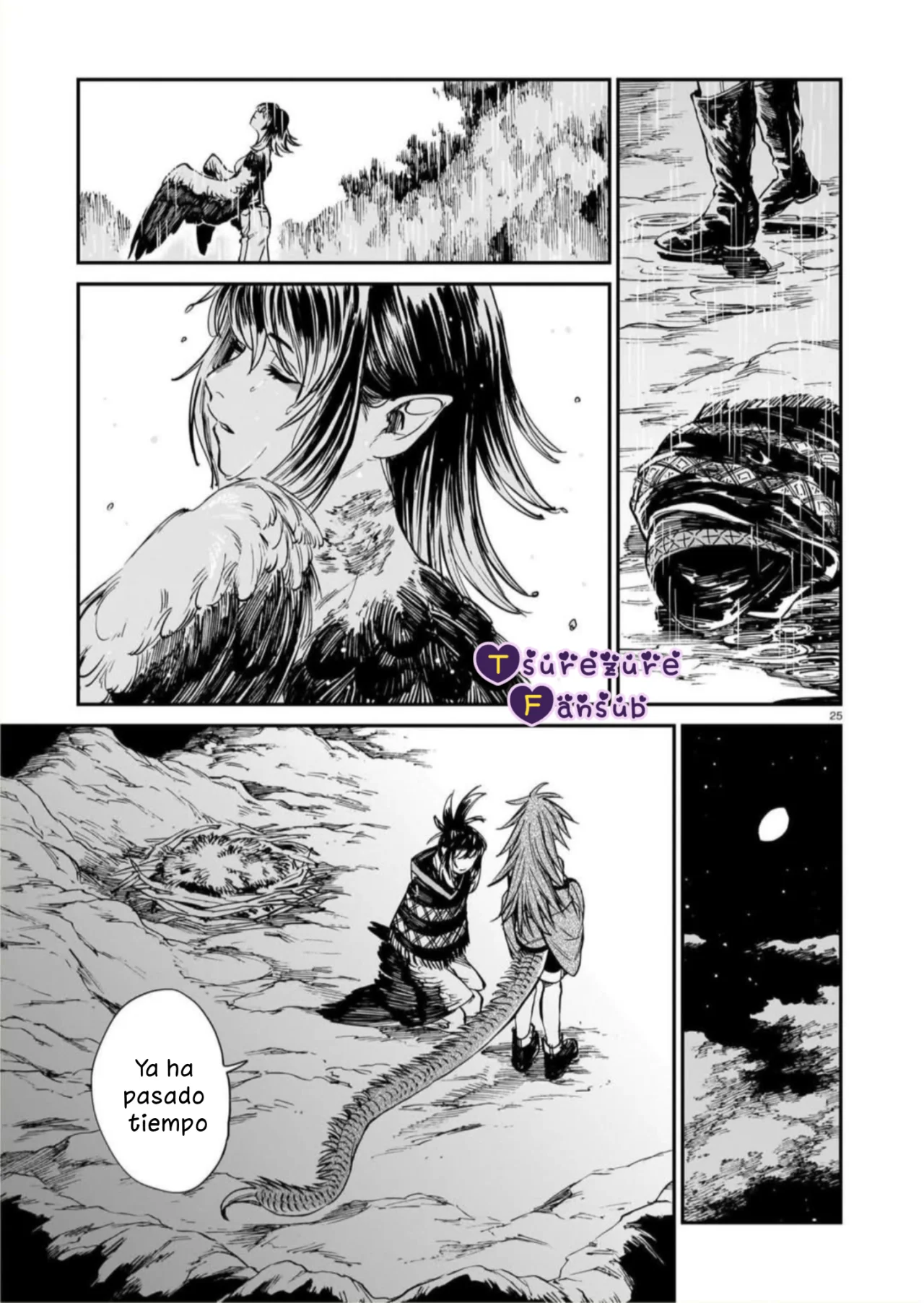 El Tigre Aún No Puede Comerse Al Dragón Capítulo 40 - Page 27
