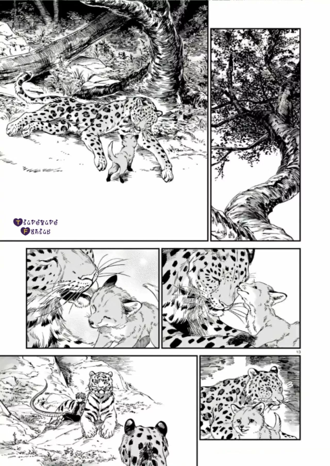 El Tigre Aún No Puede Comerse Al Dragón Capítulo 9 - Page 15