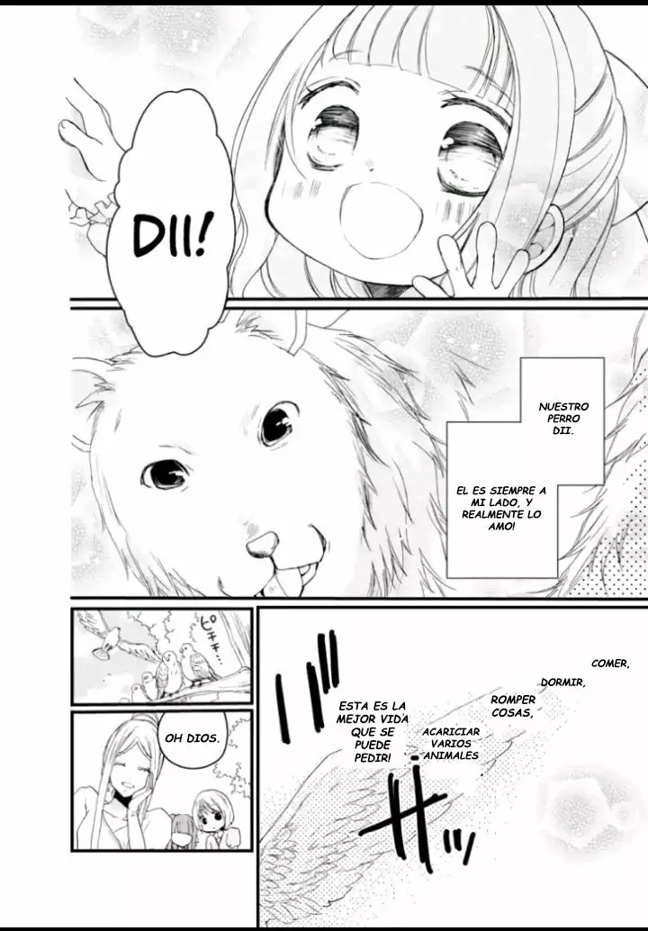 Isekai de Mofumofu Nadenade Suru Tame ni Ganbattemasu Capítulo 1 - Page 17