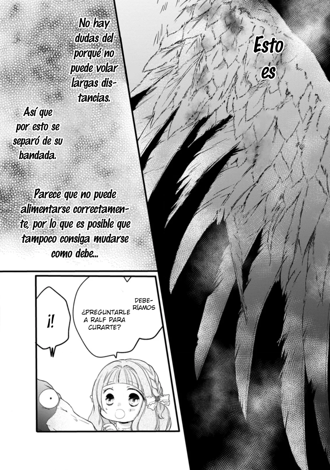 Isekai de Mofumofu Nadenade Suru Tame ni Ganbattemasu Capítulo 30 - Page 28