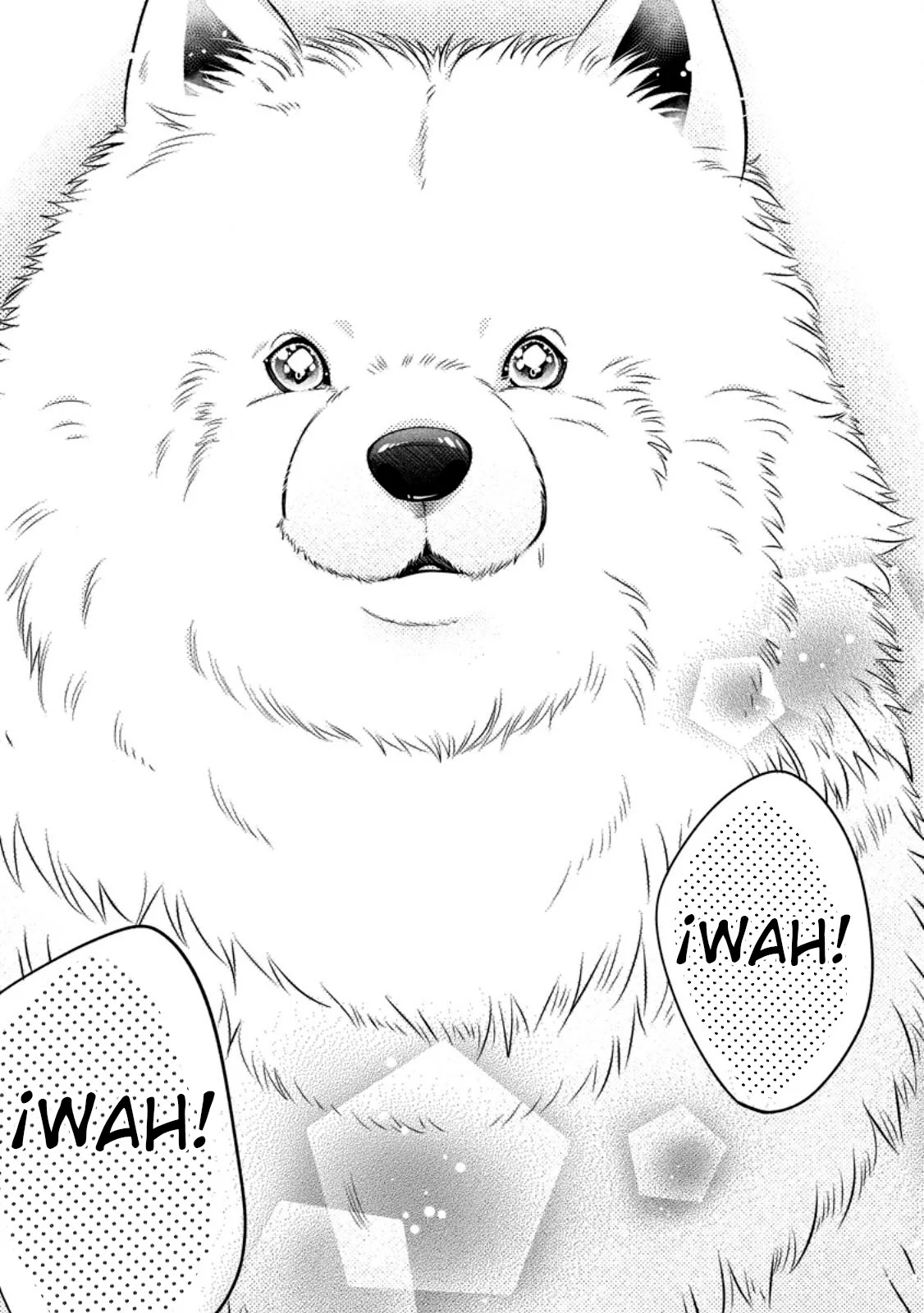 Isekai de Mofumofu Nadenade Suru Tame ni Ganbattemasu Capítulo 53 - Page 19